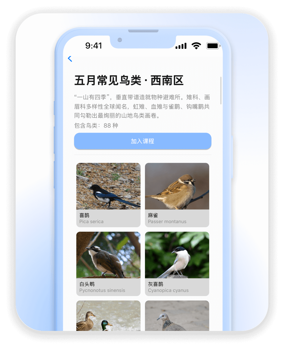 精选图鉴