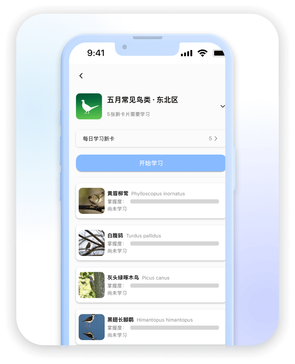 课程列表