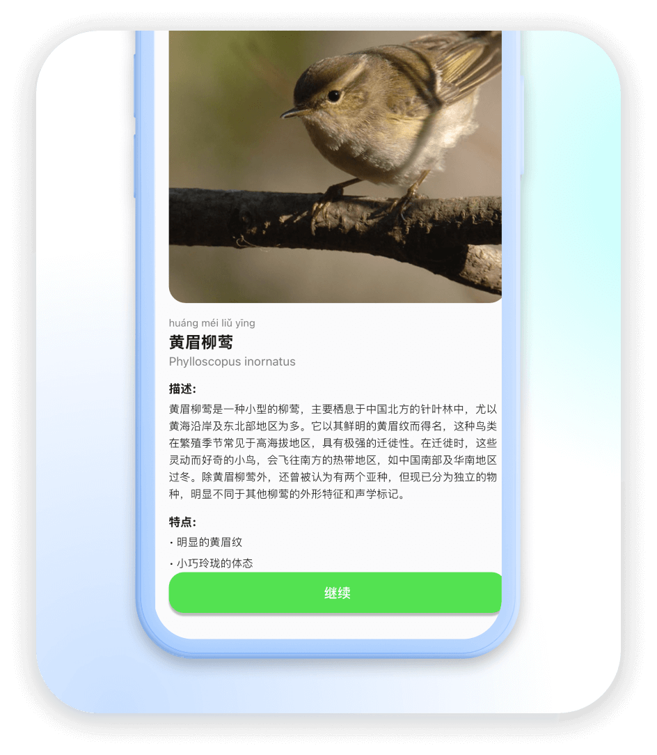 核心知识